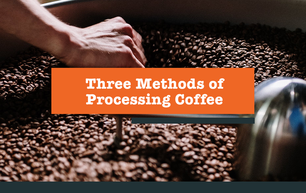 Three Methods of Processing Coffee